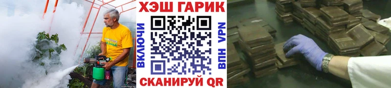 ГАШ гарик Купить где Сунжа