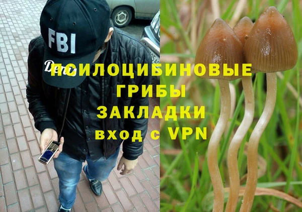 а пвп мука Каменка