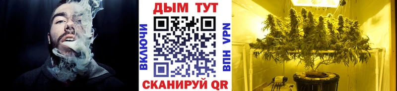Купить где  Сунжа  Конопля Amnesia 